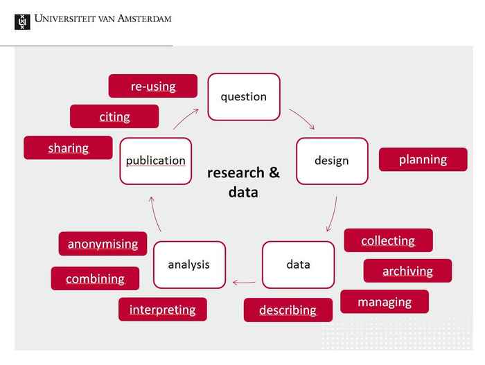 research cycle